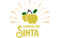 Sinta Logo