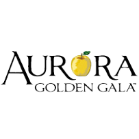 Aurora Logo